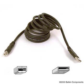 Belkin 6FT Pro USB Hi-Speed Cable (F3u133-6)