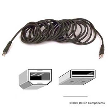 Belkin 10FT PRO Series Hi-Speed US Cable (F3U133-10-CBL)